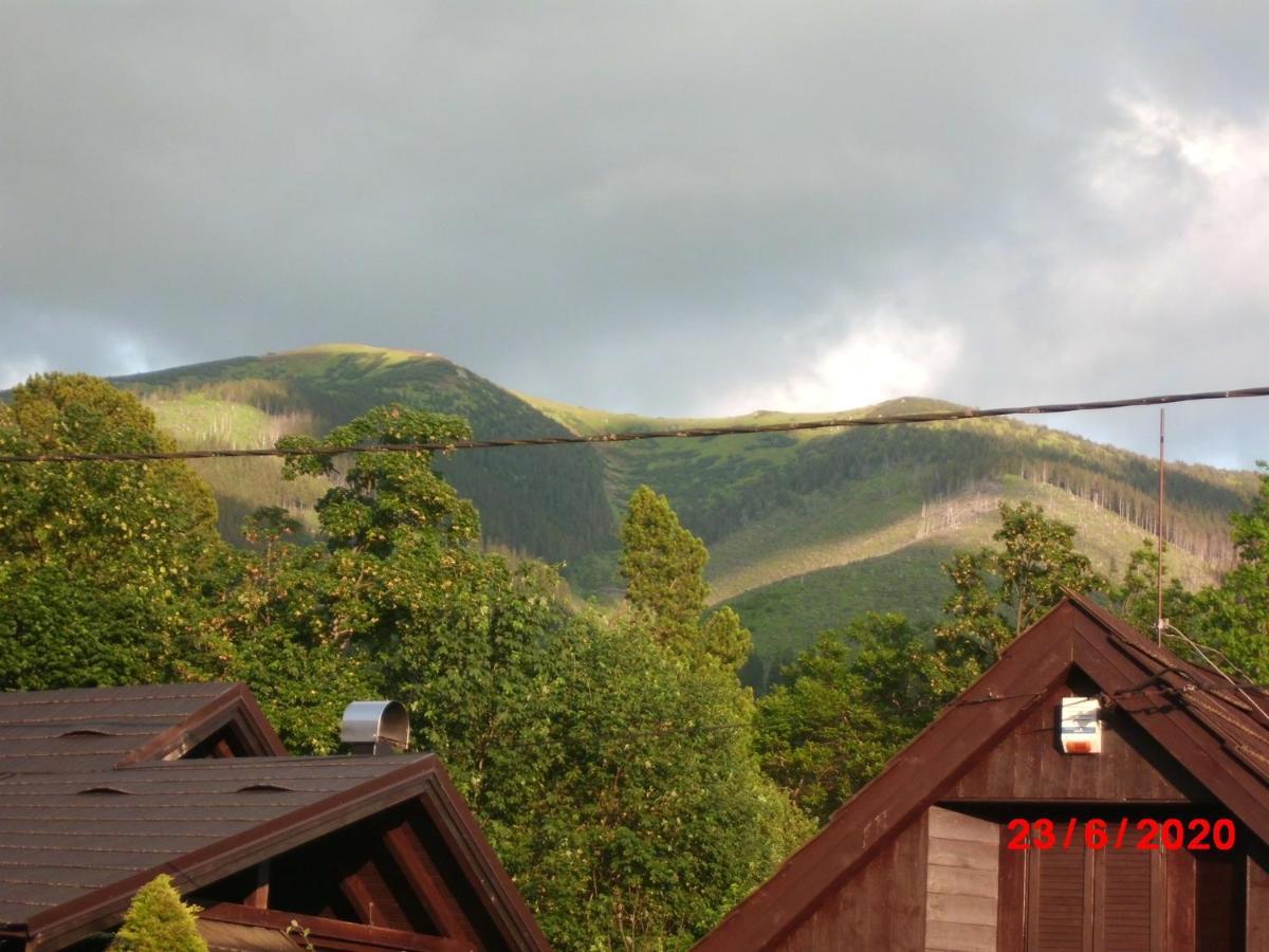 Drevenica Art Galery Villa Liptovska Luzna Dış mekan fotoğraf
