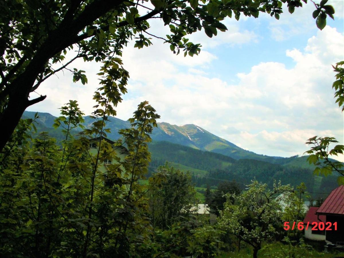 Drevenica Art Galery Villa Liptovska Luzna Dış mekan fotoğraf